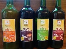 Bio-Säfte