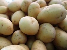 kartoffeln-und-zwiebeln-minikartoffeln-schnaitlexpress-saalfelden
