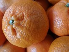 obst-clementinen-schnaitlexpress-saalfelden