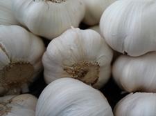 pilze-und-knoblauch-knoblauch-knolle-schnaitlexpress-saalfelden